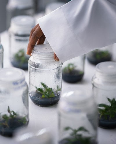 Propagate